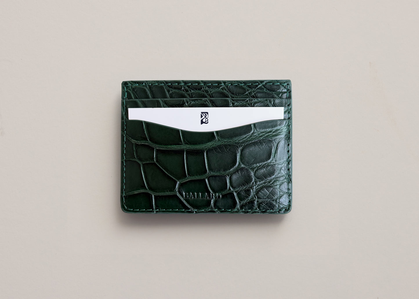 GENUINE ALLIGATOR CARD HOLDER - USA | EVERGLADE